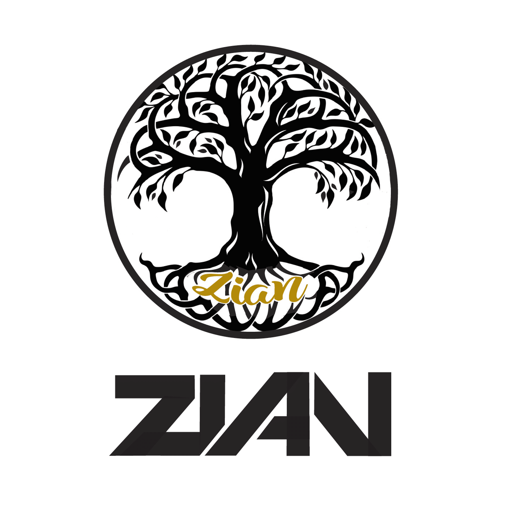 Zian Logo